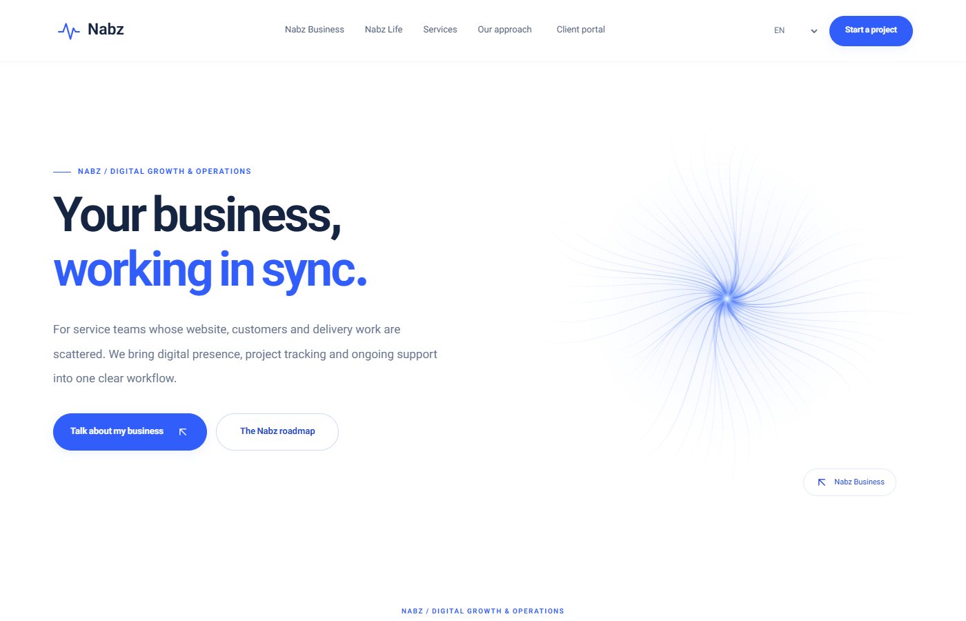 English-language experience — NABZ Capital